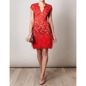Matthew Williamson red feather lace sheath dress